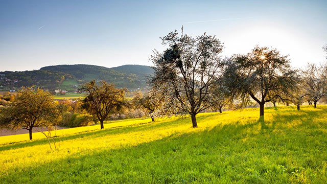 Frühling im Hartbergerland