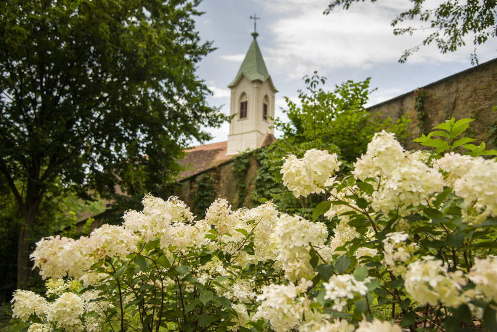 Frühling in Hartberg