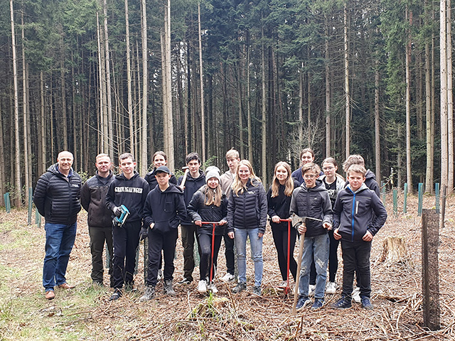 KLAR! Aufforstung Wald